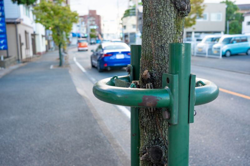 Extends tree lifespan