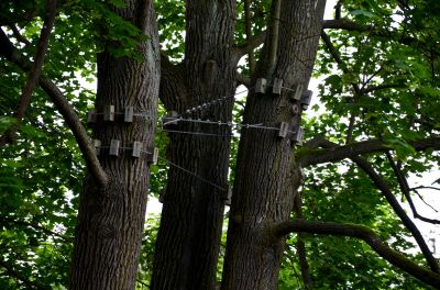 Specialized Tree Stabilization Equipment