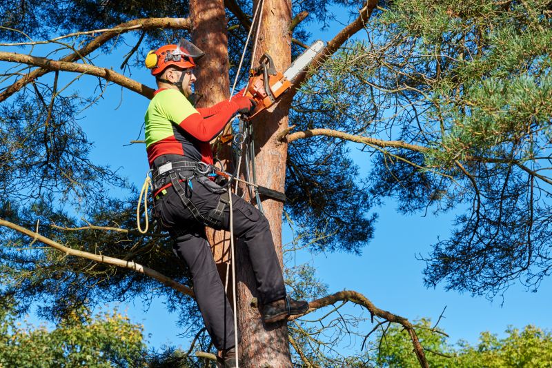 Tree Care Service Vehicles